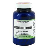 Produktbild Schachtelhalm GPH Kapseln