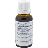 Produktbild Echinacea D 3 Dilution