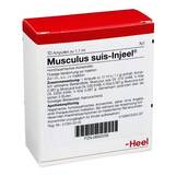 Produktbild Musculus suis Injeel Ampullen