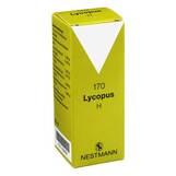 Produktbild Lycopus H Nr. 170 Tropfen