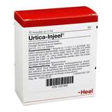 Produktbild Urtica Injeel Ampullen