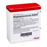 Produktbild Staphylococcus Injeel Ampullen