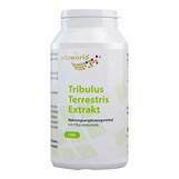 Produktbild Tribulus terrestris Extrakt 500 mg Kapseln