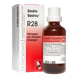 Abbildung: Secale-Gastreu R28 Tropfen zum Einnehmen Mischung, 22 ml PZN 01372910