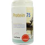 Produktbild Protein 75 Erdbeer Pulver