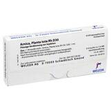 Produktbild Arnica Planta Tota RH D 30 Ampullen