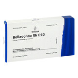 Produktbild Belladonna RH D 20 Ampullen