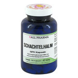 Produktbild Schachtelhalm GPH Kapseln