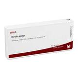 Abbildung: Hirudo comp. Ampullen Ampullen, 10X1 ml PZN 01751576