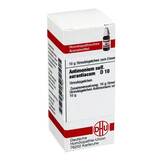 Abbildung: DHU Antimonium sulfuratum aurantiacum D 1 Globuli, 10 g PZN 01757225