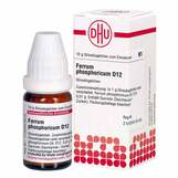 Produktbild DHU Ferrum phosphoricum D 12 Globuli