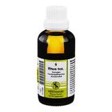 Produktbild Rhus toxicodendron Komplex Nr. 9