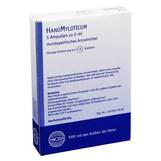 Produktbild Hanomyloticum Injektionsl&ouml;sung