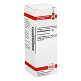 Produktbild DHU Cardiospermum D 2 Dilution