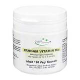 Produktbild Pangam Vitamin B15 Kapseln