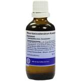 Produktbild Rhus toxicodendron Komplex