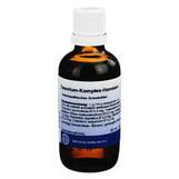 Produktbild Teucrium Komplex