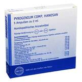 Produktbild Pyrogenium comp. Hanosan Ampullen