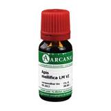 Produktbild Apis mellifica Arcana LM 6 Dilution