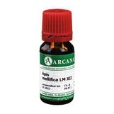 Produktbild Apis mellifica Arcana LM 12 Dilution