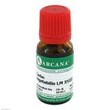 Produktbild Carbo vegetabilis Arcana LM 18 Dilution