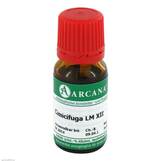 Produktbild Cimicifuga Arcana LM 12 Dilution