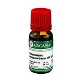 Produktbild Gelsemium Sempervirens Arcana LM 12 Dilution