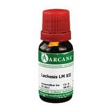 Produktbild Lachesis Arcana LM 12 Dilution