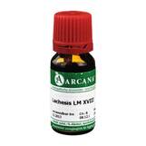 Produktbild Lachesis Arcana LM 18 Dilution