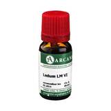 Produktbild Ledum Arcana LM 6 Dilution