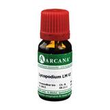 Produktbild Lycopodium Arcana LM 6 Dilution