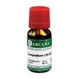 Produktbild Lycopodium Arcana LM 12 Dilution