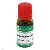 Produktbild Rhododendron Arcana LM 6 Dilution