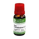 Produktbild Rhus toxicodendron Arcana LM 6 Dilution