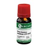 Produktbild Rhus toxicodendron Arcana LM 18 Dilution