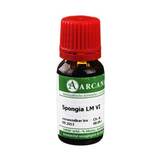 Produktbild Spongia Arcana LM 6 Dilution