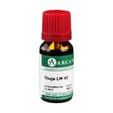 Produktbild Thuja Arcana LM 6 Dilution