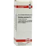 Produktbild DHU Dolichos pruriens D 4 Dilution