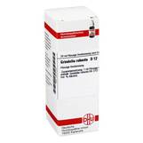 Abbildung: DHU Grindelia robusta D 12 Dilution Dilution, 20 ml PZN 02614700