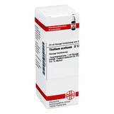 Produktbild DHU Thallium aceticum D 12 Dilution