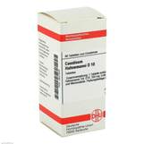 Produktbild DHU causticum Hahnemanni D 10 Tabletten