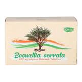 Produktbild Boswellia serrata 400 mg Tabletten