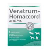 Produktbild Veratrum Homaccord Ampullen vet. (f&uuml;r Tiere)