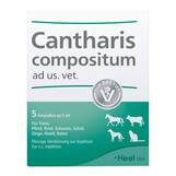 Produktbild Cantharis Compositum Ampullen vet. (f&uuml;r Tiere)