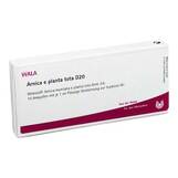 Produktbild Arnica E Planta tota D 20 Ampullen