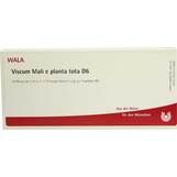 Produktbild Viscum Mali e planta tota D 6 Ampullen