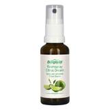 Produktbild Raumspray Citrus Dream