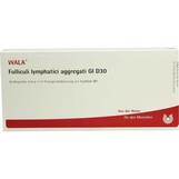 Produktbild Folliculi lymphatici aggregati GL D 30 Ampullen