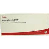 Produktbild Mamma Sinistra GL D 4 Ampullen