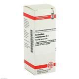 Produktbild DHU Ceanothus americanus D 2 Dilution
